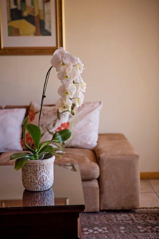 Garden Suite