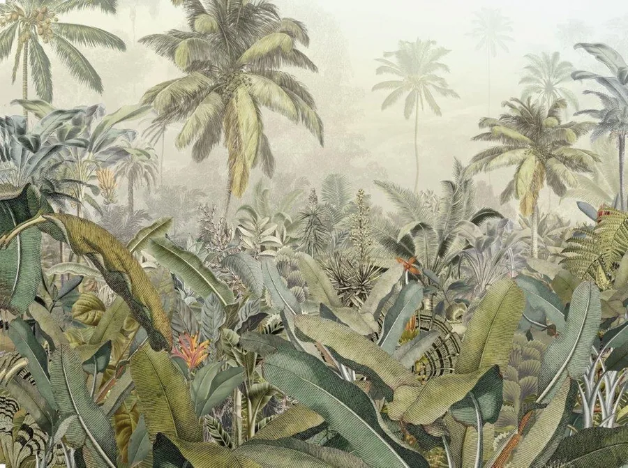 Jungle Daybreak