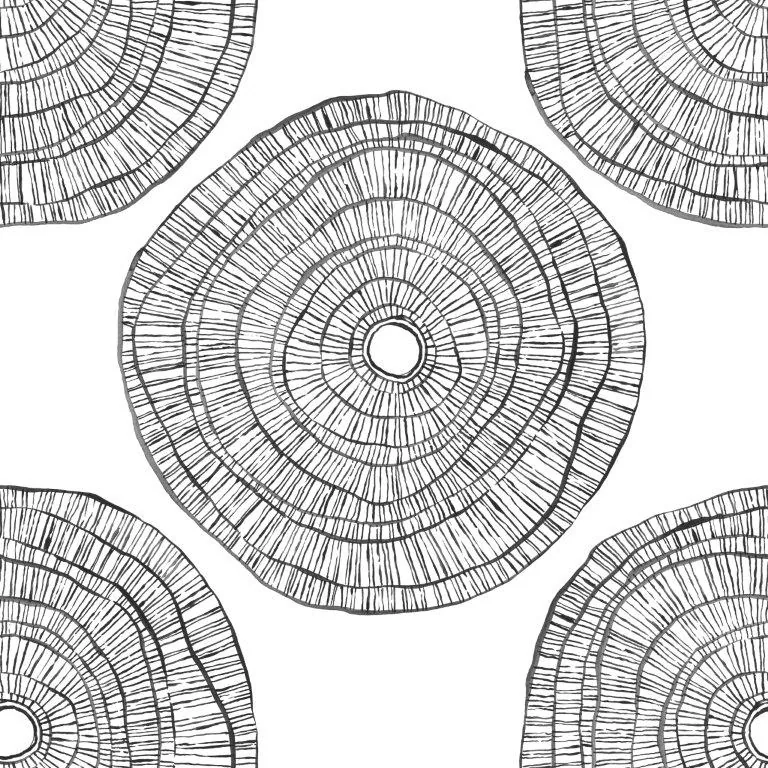 Concentric Radiance
