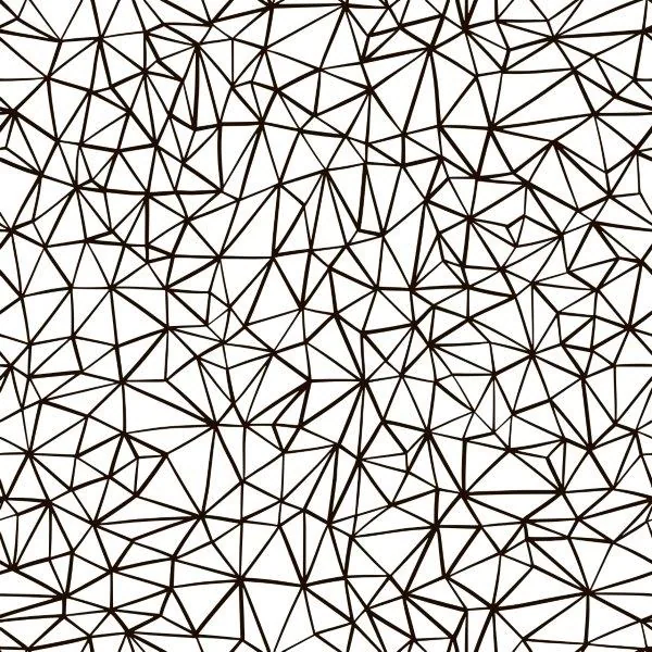 Geometric Mesh
