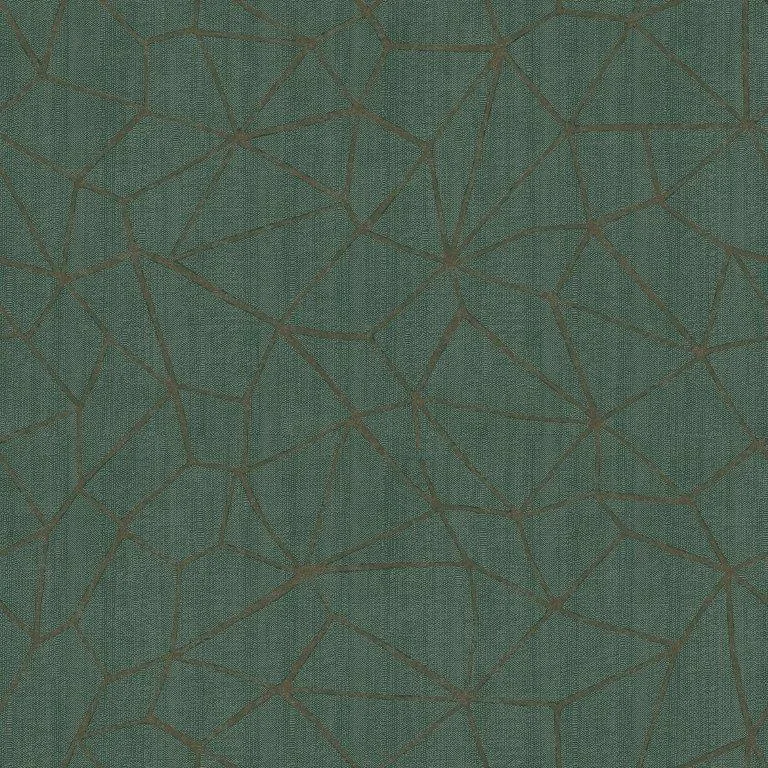 Galapagos Foliage