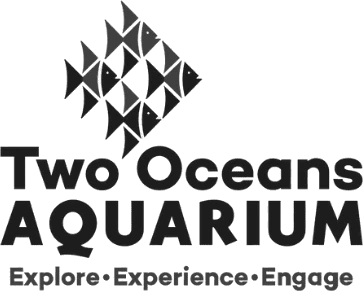 Two Oceans Aquarium