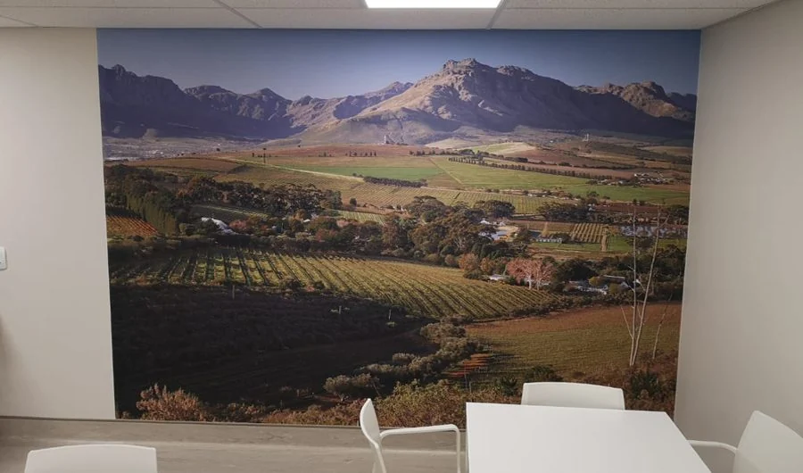 Mediclinic Hospitals — Smart Art installation
